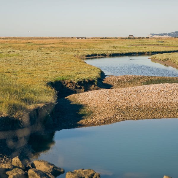 Aerial view of winding tidal channels cutting through golden-green salt marshes on the East Sussex coast