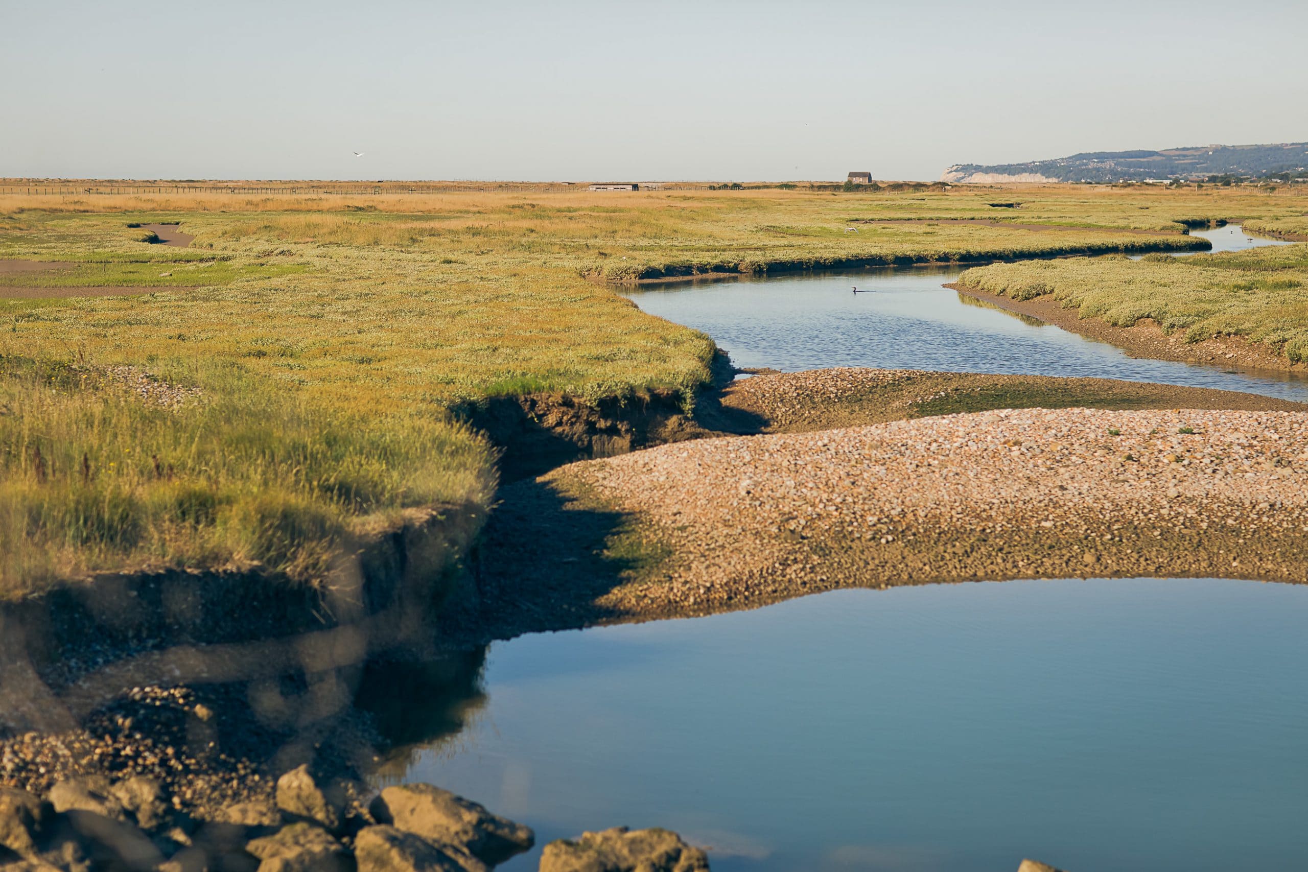 Aerial view of winding tidal channels cutting through golden-green salt marshes on the East Sussex coast