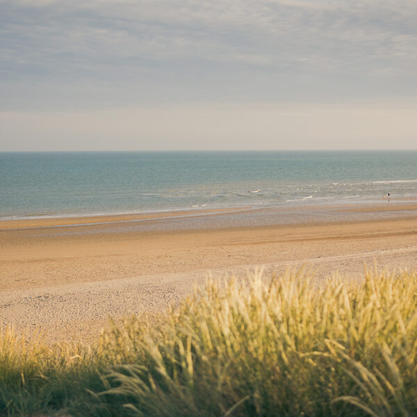 The Gallivant Vitamin Sea Offer