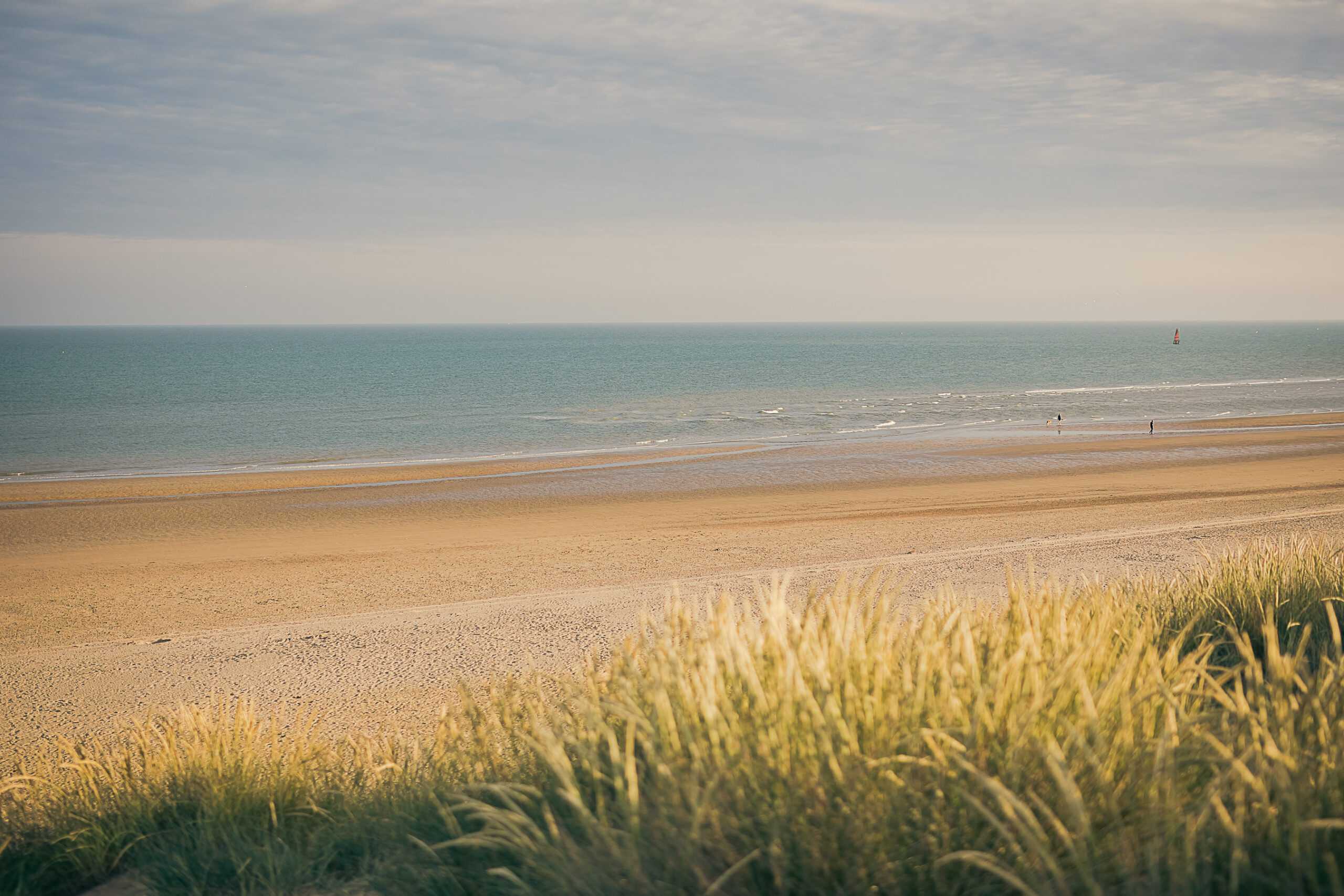 The Gallivant Vitamin Sea Offer
