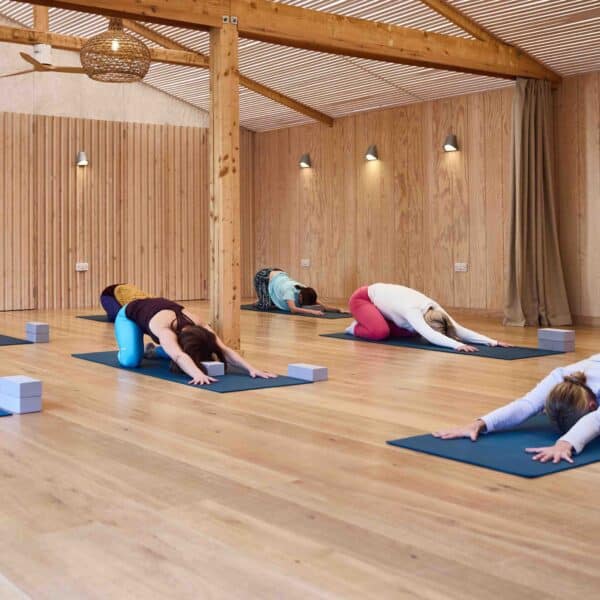 Snow Flow - Yoga