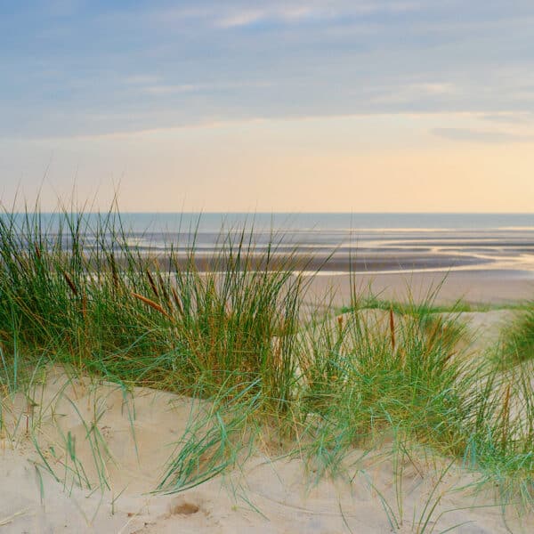 Beachside wedding ceremony at The Gallivant, Camber Sands