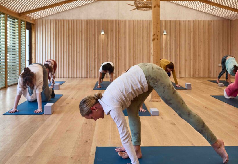 Group yoga class practising triangle pose on blue mats in a light wood-panelled studio at The Gallivant